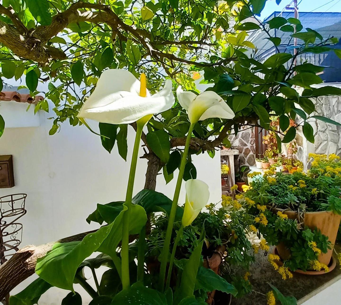 Apartments Donda Сплит Экстерьер фото